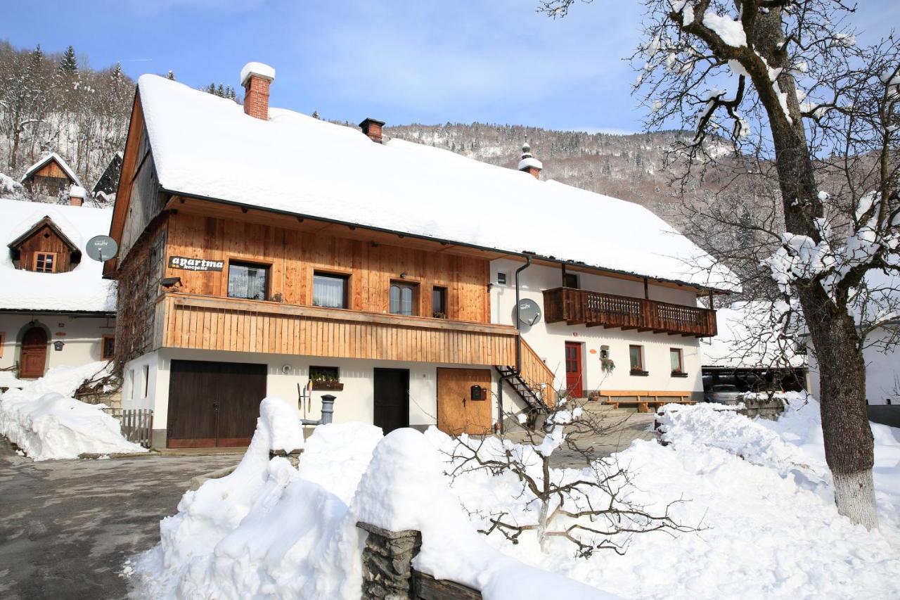 Apartments Kocjanc Bohinj Dış mekan fotoğraf