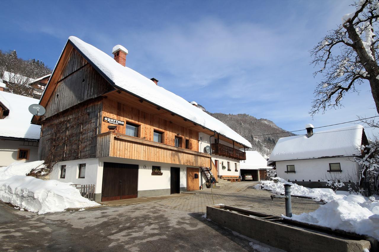Apartments Kocjanc Bohinj Dış mekan fotoğraf