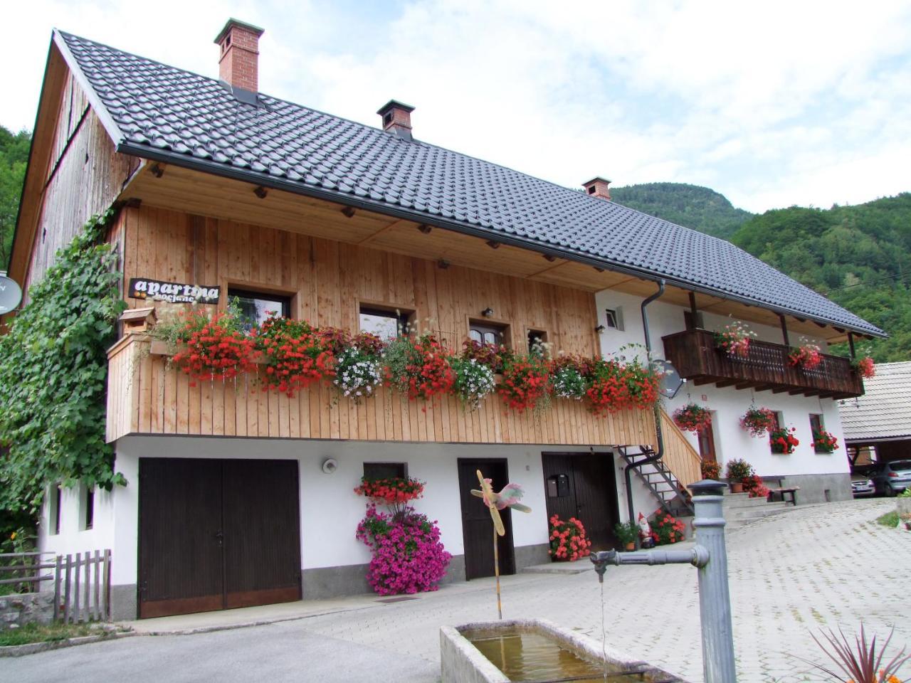 Apartments Kocjanc Bohinj Dış mekan fotoğraf