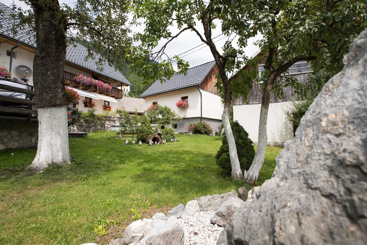 Apartments Kocjanc Bohinj Dış mekan fotoğraf
