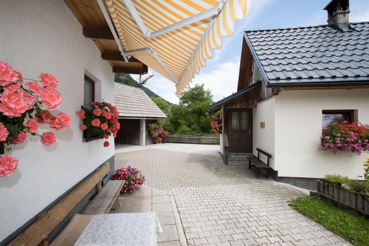 Apartments Kocjanc Bohinj Dış mekan fotoğraf